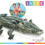 Crocodile Swimming Pool - Image 2