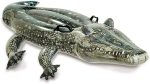 Crocodile Swimming Pool - Image 4