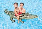 Crocodile Swimming Pool